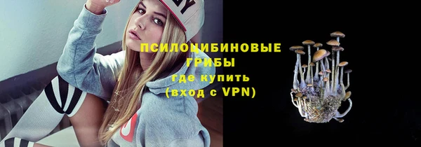 твердый Зеленодольск