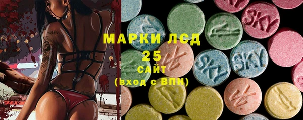 твердый Зеленодольск