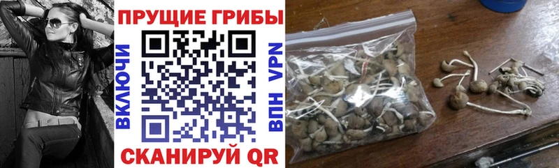 Галлюциногенные грибы мухоморы  Купить закладки  Иркутск 
